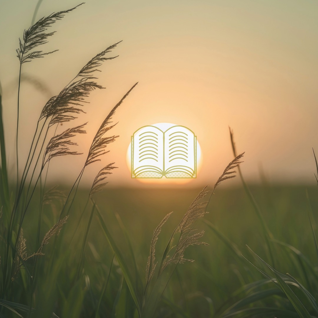 <p><strong>にほん 日本</strong></p><p><span style="color: rgb(169, 169, 169);"><span>Kanji:</span></span></p><p><span style="color: rgb(169, 169, 169);"><span>日 Day/sun</span></span></p><p><span style="color: rgb(169, 169, 169);"><span>本 Book/foundation</span></span></p>