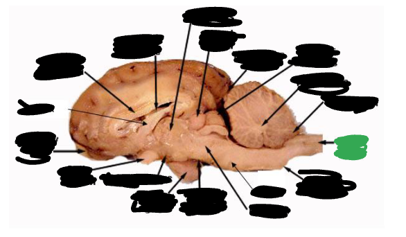 <p></p>