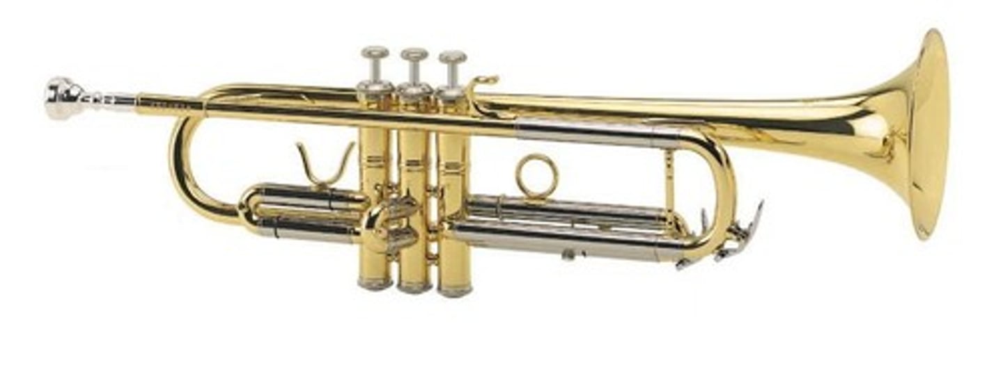 <p>trumpet</p>