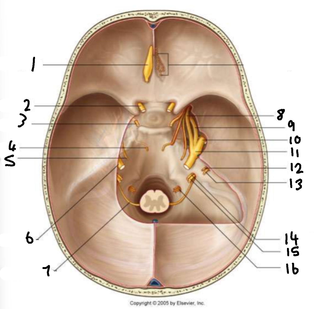 <p>What is 3?</p>