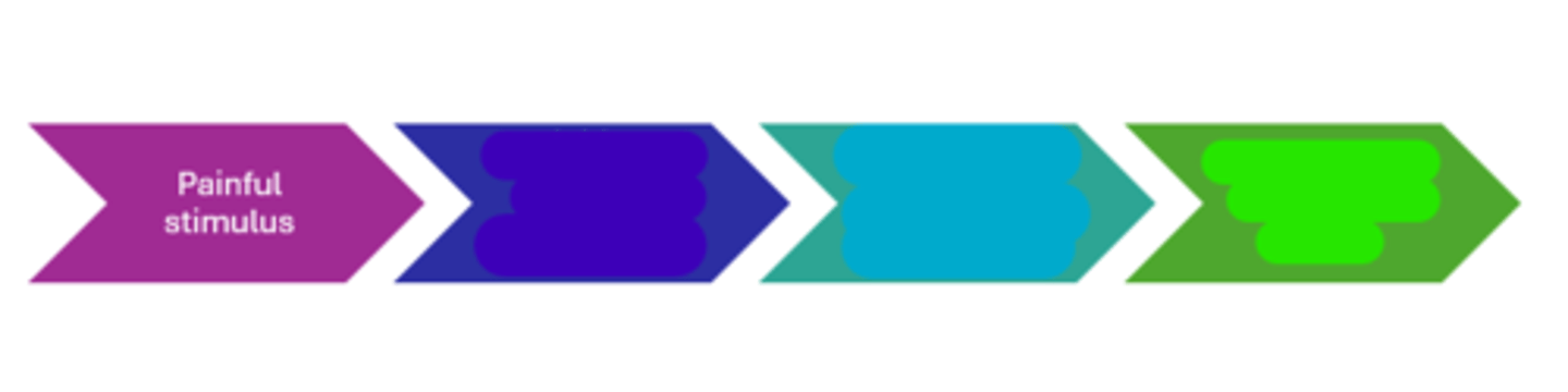 <p>Teal in image.</p>