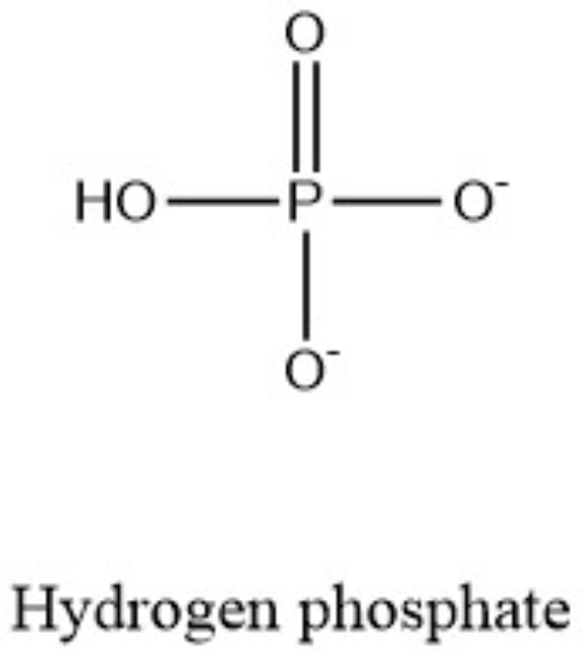 <p>HPO<sub>4</sub><sup>2- </sup>dominates </p>