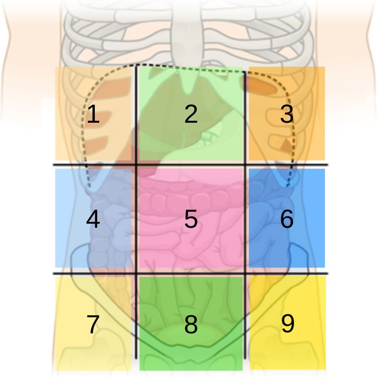 <p>4</p>