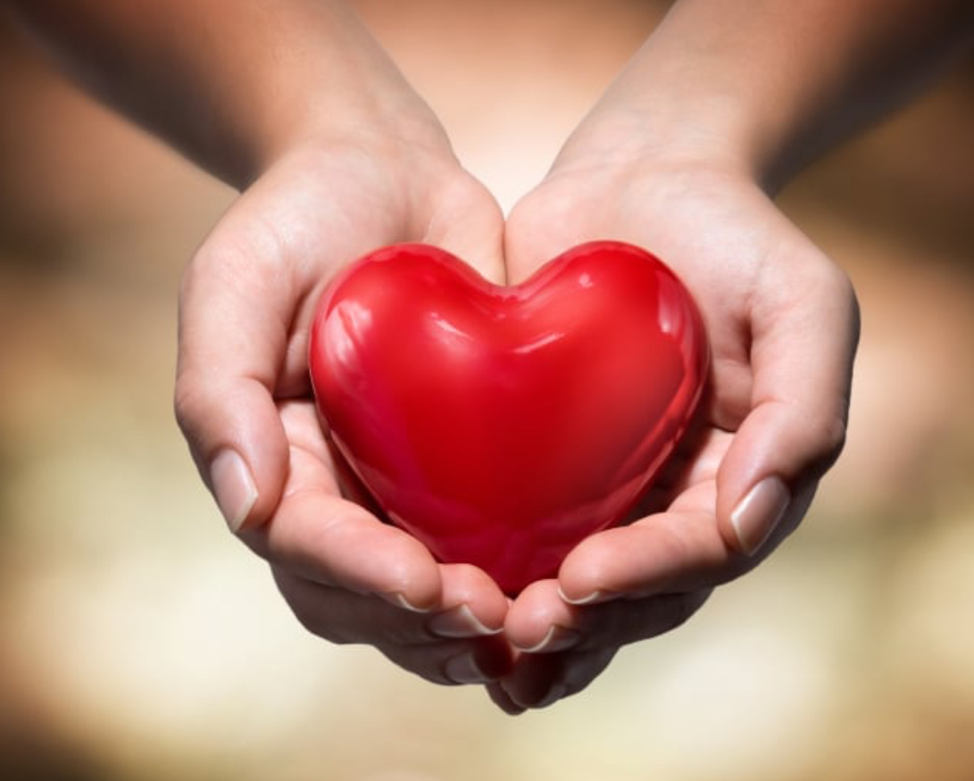 <p>A metaphor for those with a noble and good heart who hear and retain God's word, producing spiritual fruit through perseverance.</p>