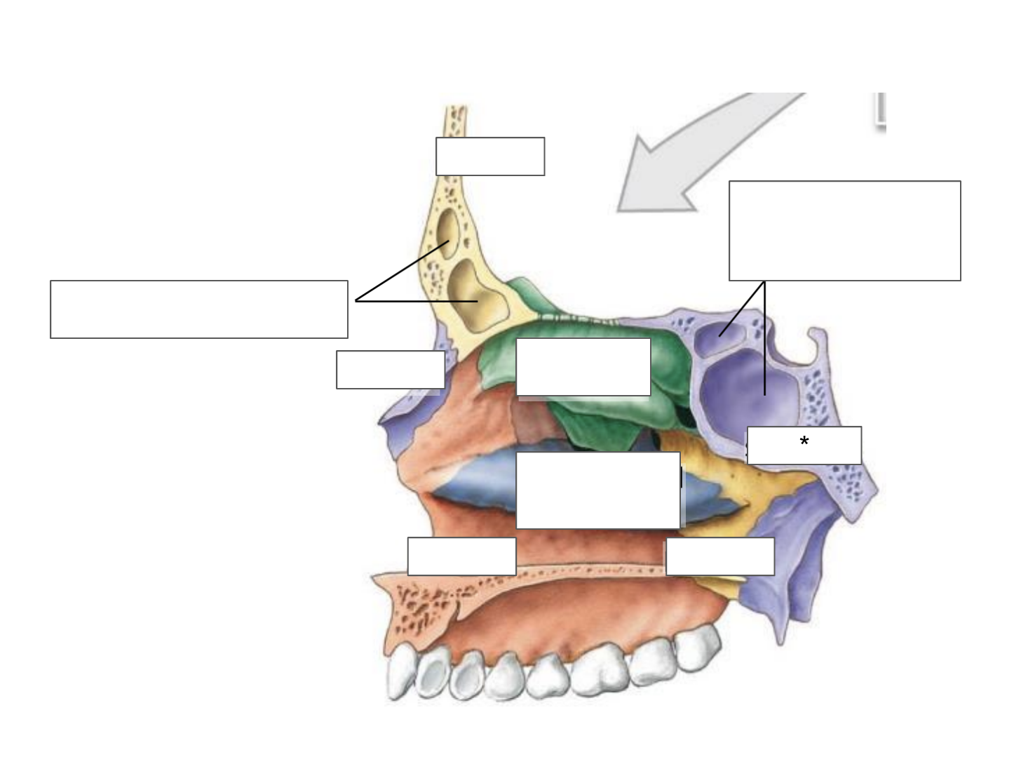 term image