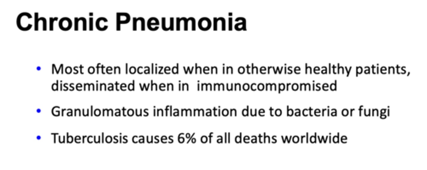 <p>Chronic pneumonia</p>