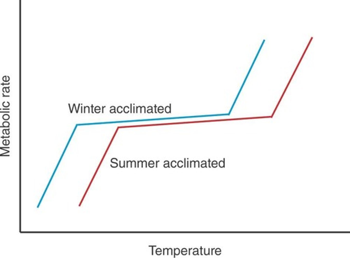 <p>In poikilotherms, increases with temperature rise.</p>