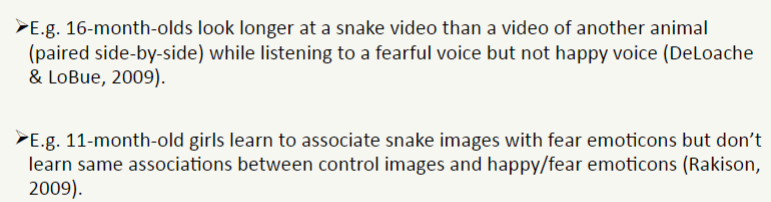 <ul><li><p>infants form faster associations between snakes and fearful stimuli than between snakes and happy stimuli</p></li><li><p>infants rapidly detect and show greater attention to snakes and spiders than to control images</p></li></ul>