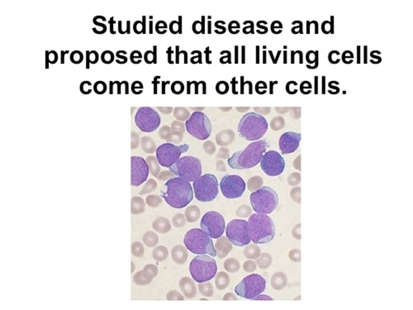 <p>A German doctor who stated that all living cells come from other living cells (part 3 of the cell theory)</p>