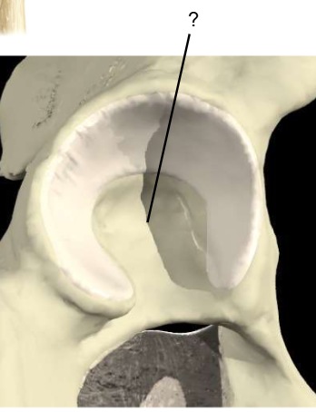 <p>Nom et caractéristiques de ce relief ?</p>