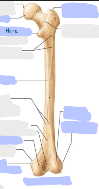 <p>What is here?</p>