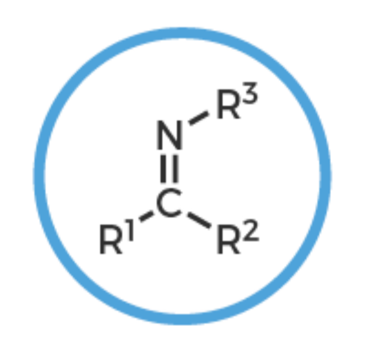 <p>Carbon with double bonded Nitrogen, both bonded to other R groups</p>