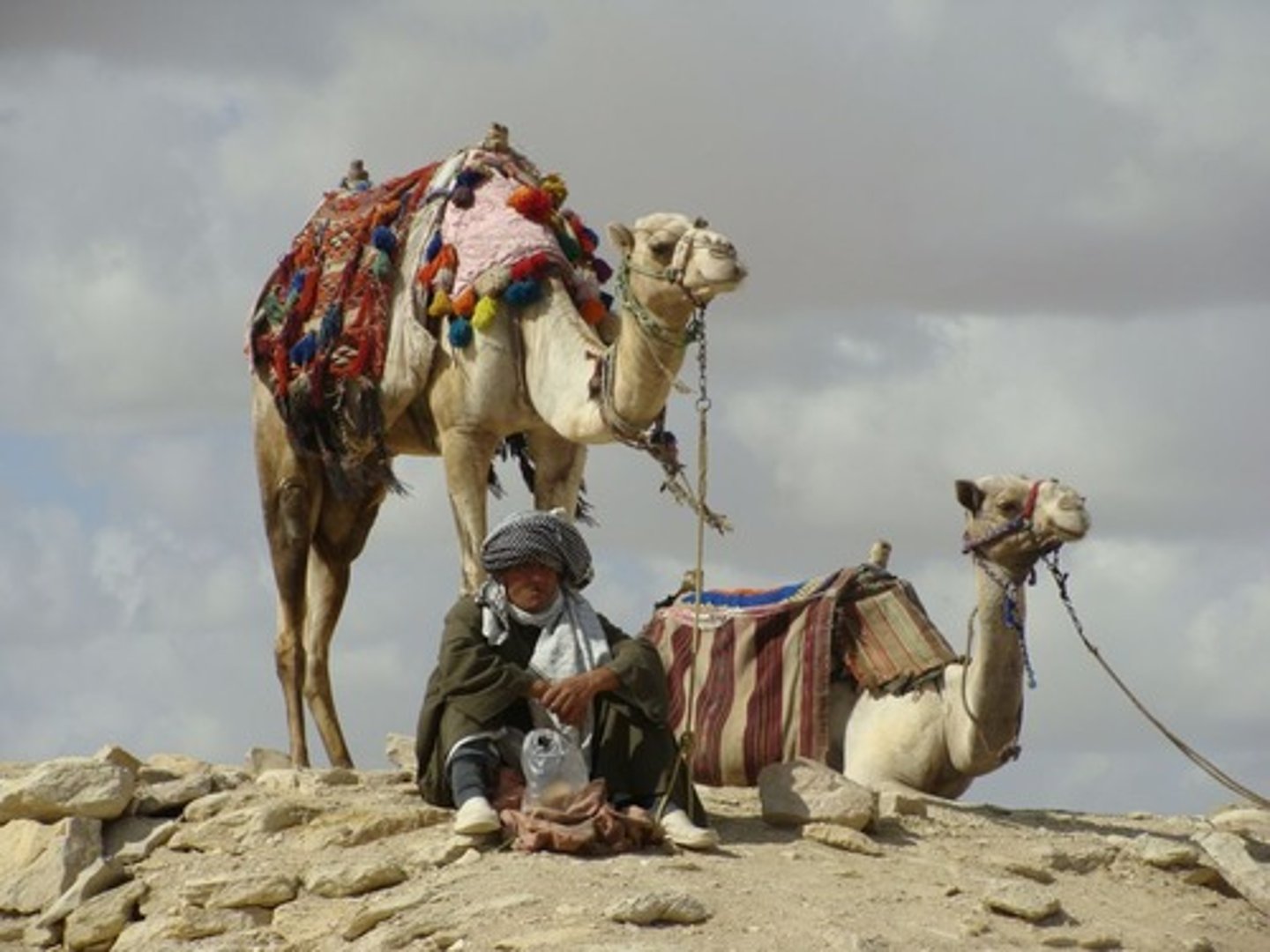 <p>Arab nomads who lived in the desert in the Arabian Peninsula</p>