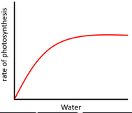 <p><span>Without water there is no H to replace the ones leaving chlorophyll, as water increases, you are replacing the H faster until they are replaced as fast as they leave - then it can’t go any faster.&nbsp; The rate the electrons leave is affected by the number of acceptors and enzymes and this would not change throughout the experiments</span></p><ul><li><p><span>Practical application:&nbsp; Without water - not photo because you can’t replace the H on chlorophyll - Rain is a necessity for plant growth</span></p></li></ul><p></p>