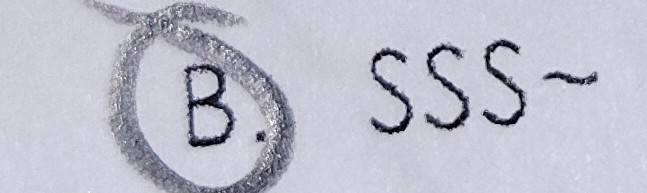 <p>B) SSS~</p>