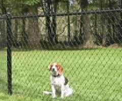 <p>giam giữ, hạn chế</p>