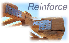 an innately reinforcing stimulus, such as one that satisfies a biological need
