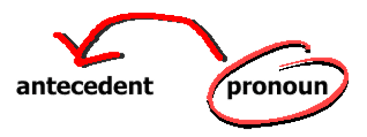 <p>The word, phrase, or clause referred to by a pronoun.</p>