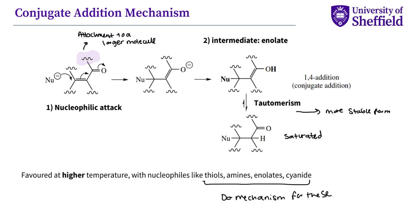 <ol><li><p><strong>nucleophilic attack </strong>, the double bond breaks and the oxygen double bond breaks , so the oxygen has a negative charge </p></li><li><p>intermediate -<strong> enolate</strong> -<span><span>a </span></span><strong>resonance-stabilized anion</strong><span><span> formed by removing a proton from the alpha-carbon (the carbon next to a carbonyl group) of an organic compound</span></span></p></li><li><p>then there is <strong>tautomerism</strong> - more stable form <span><span>a type of structural isomerism where a molecule can exist in two or more interconvertible forms called </span></span><strong>tautomers, becaus ethe protons move </strong></p></li><li><p><strong>you then have a saturated compound </strong></p></li></ol><p>note- this is favoured at a higher temperature , which nucleophiles like thiols , amines , enolates , cyanide </p><p></p>