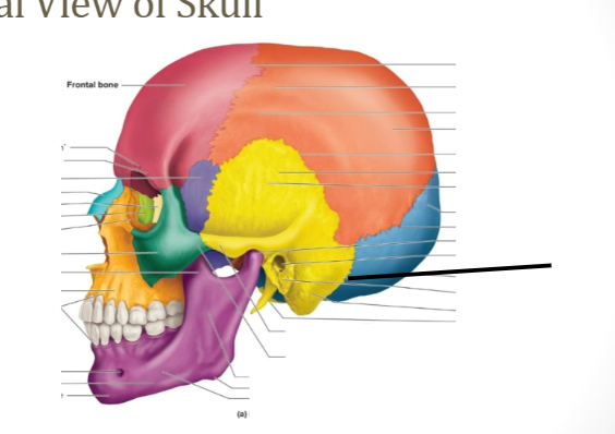 term image