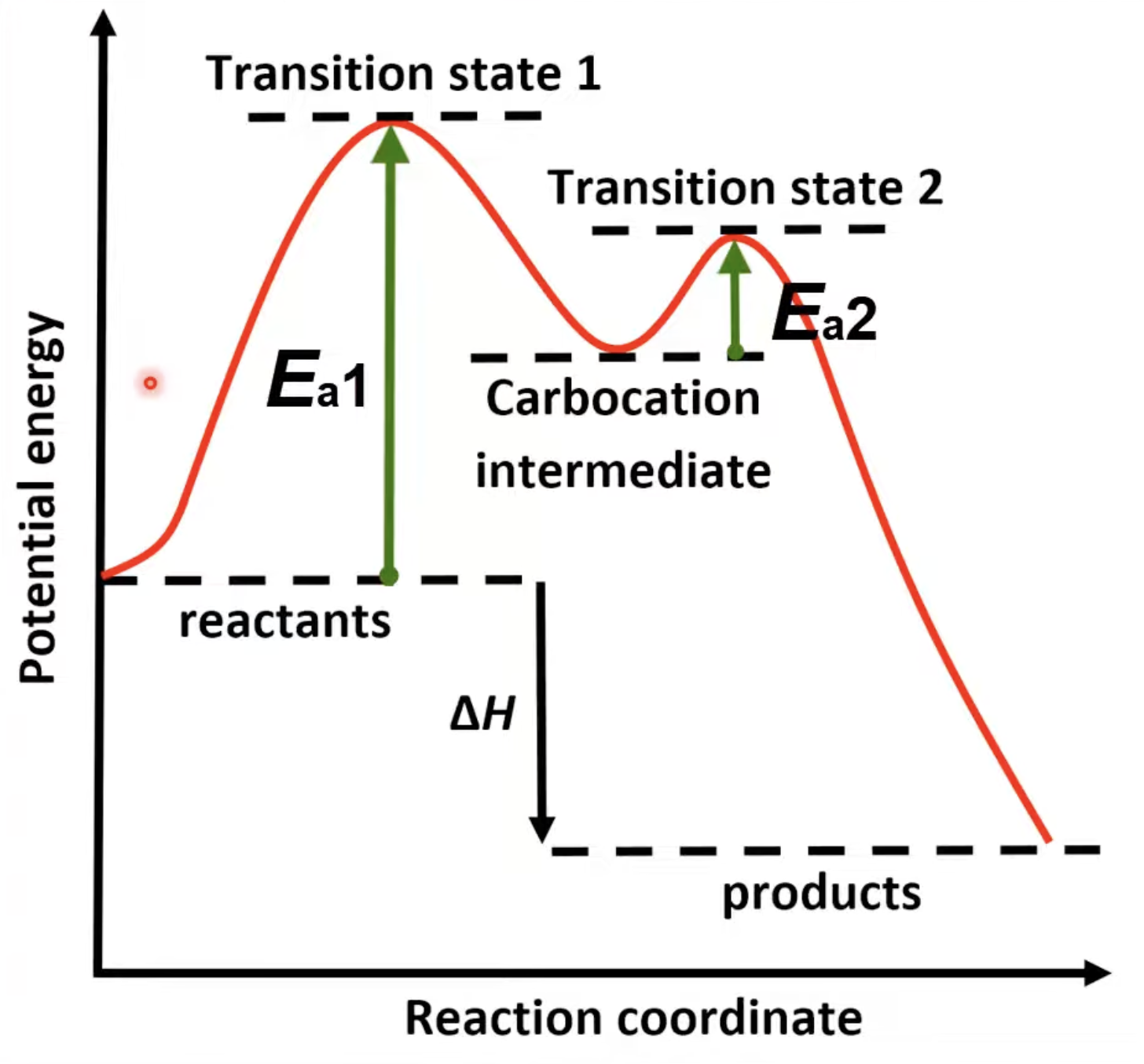 <p>Two peaks for two steps. </p><p>First step has higher activation energy. </p><p>Carbocation intermediate forms.</p>