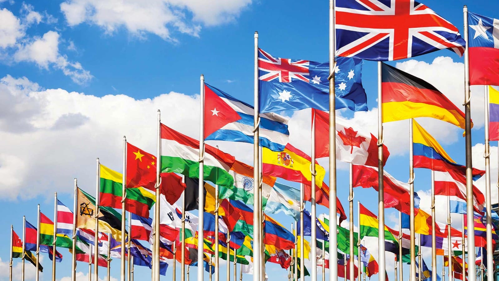 <p><strong>Uluslararası </strong></p>