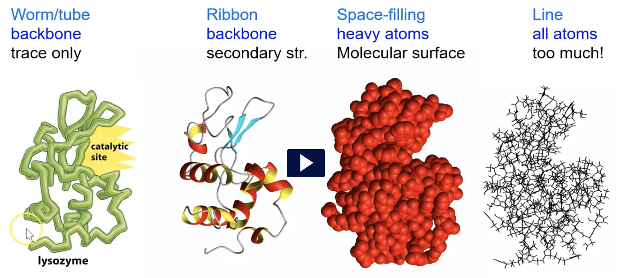 <p>worm/tube - backbone - trace only</p><p>ribbon - backbone - secondary structure</p><p>space-filling - heavy atoms - molecular surface</p><p>line - all atoms</p>