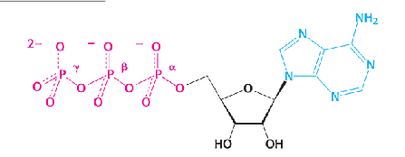<p>what is this structure?</p>