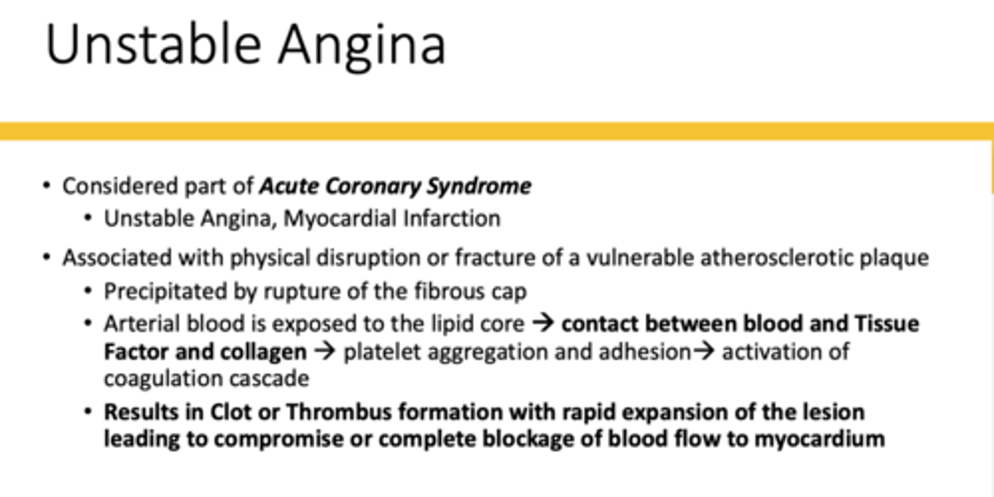 <p>contact between blood, tissue factor, and collagen leads to platelet aggregation/adhesion -> coagulation cascade -> clot/thrombus formation</p>
