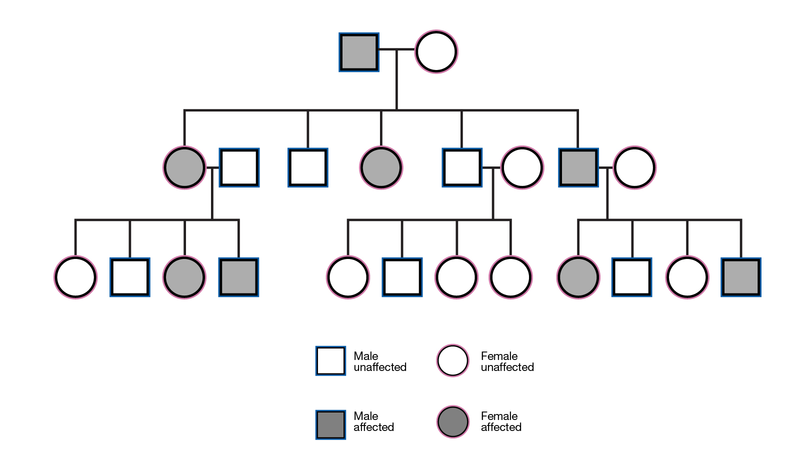 <p>Inheritance pattern where a single copy of a mutated gene from one parent is enough to cause the trait or disorder in an individual.</p>