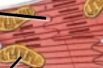 <p>What is this?</p>