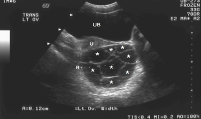 This image displays a 