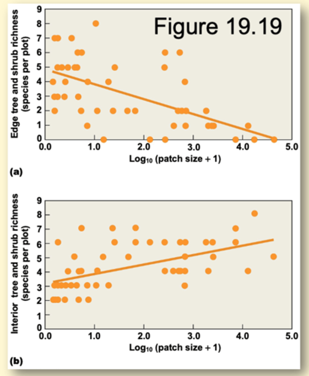 <p>At patch, since increased</p><p>- species richness of edge species decreases</p><p>-Species richness of interior species increased</p>