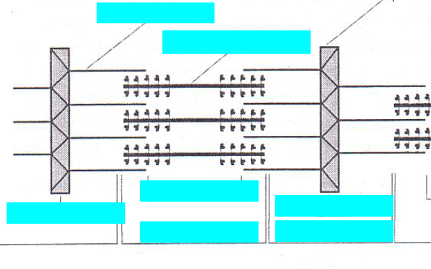 <p>label the sarcomere</p>