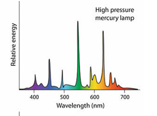 <p>High pressure mercury lamp</p>