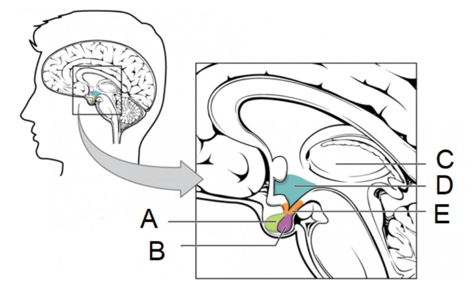 <p>What’s E?</p>