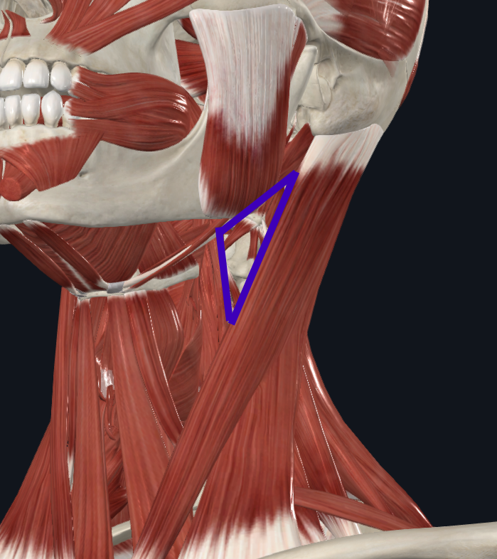 <p>What does this triangle refer to</p>