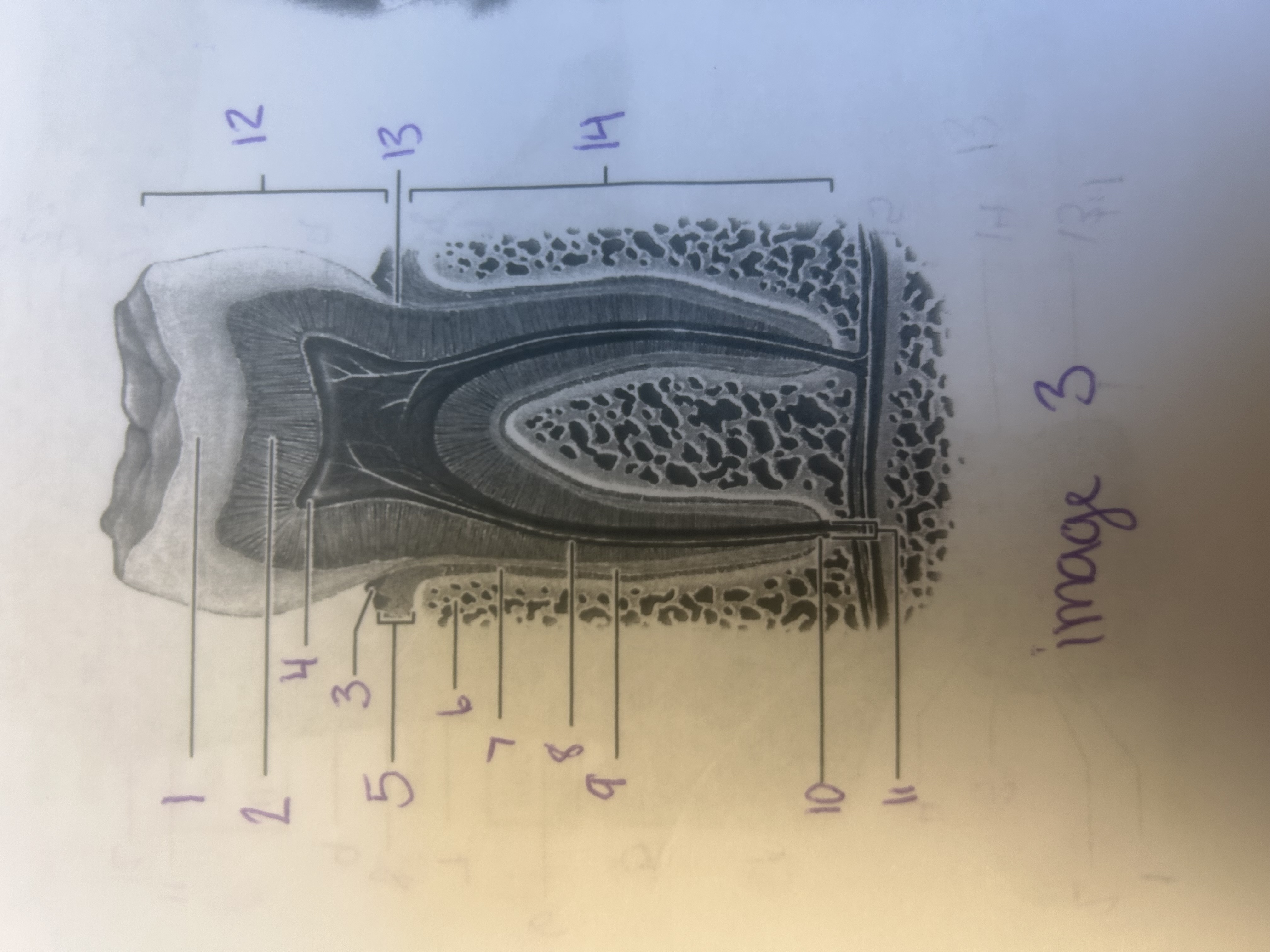 <p>6</p>