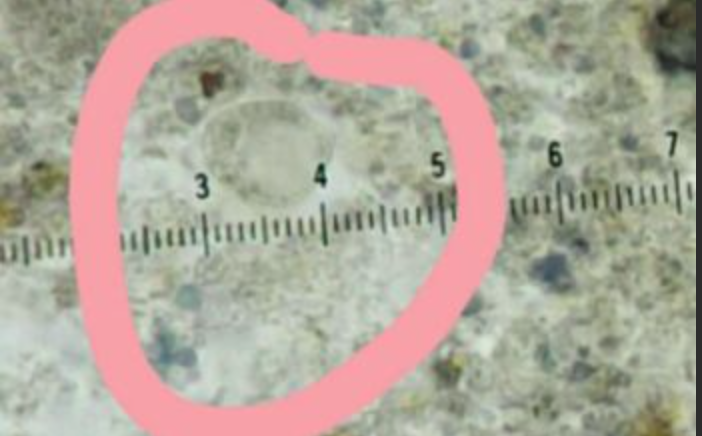<p>Name & Stage</p>