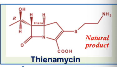 <p>Created from thienamycin. It is a carbapenem, does not contain thiazolidine or dihydrothiazine ring.</p>