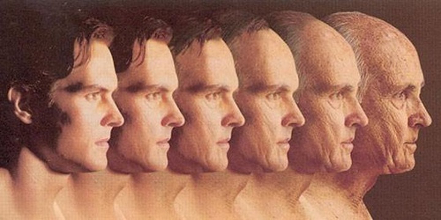 <p>Age</p>