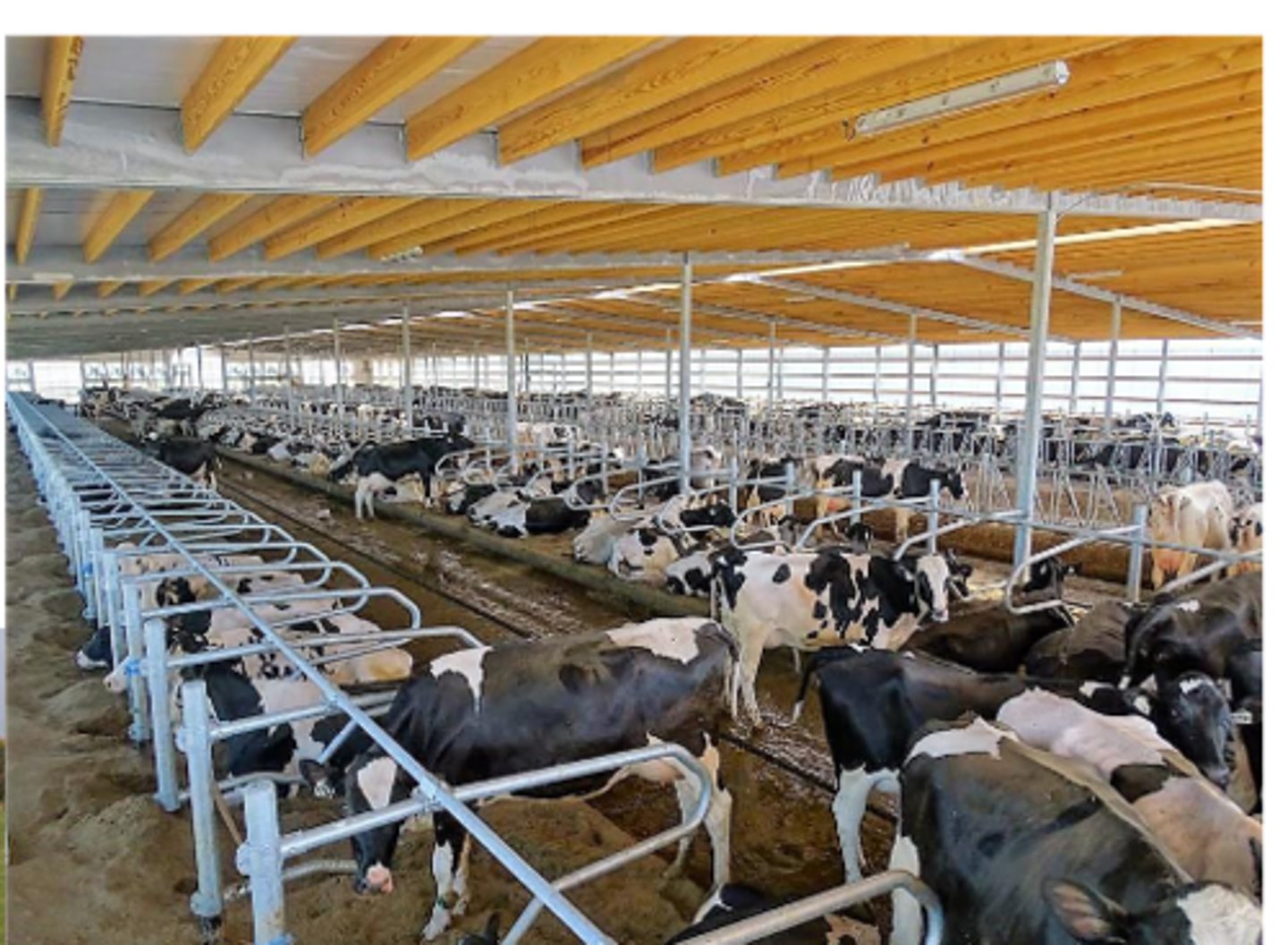 <p>What is this housing method?</p>