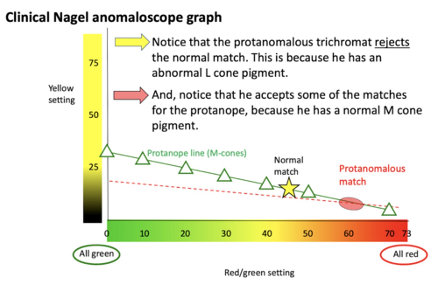 <p>1. reject normal match (beginning of the test)</p><p>2. matches too much red for the normal yellow</p><p>why? - "red-weak", don't have normal L-cones</p>