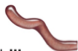 <p>What shape is this?&nbsp;Describe it.</p>