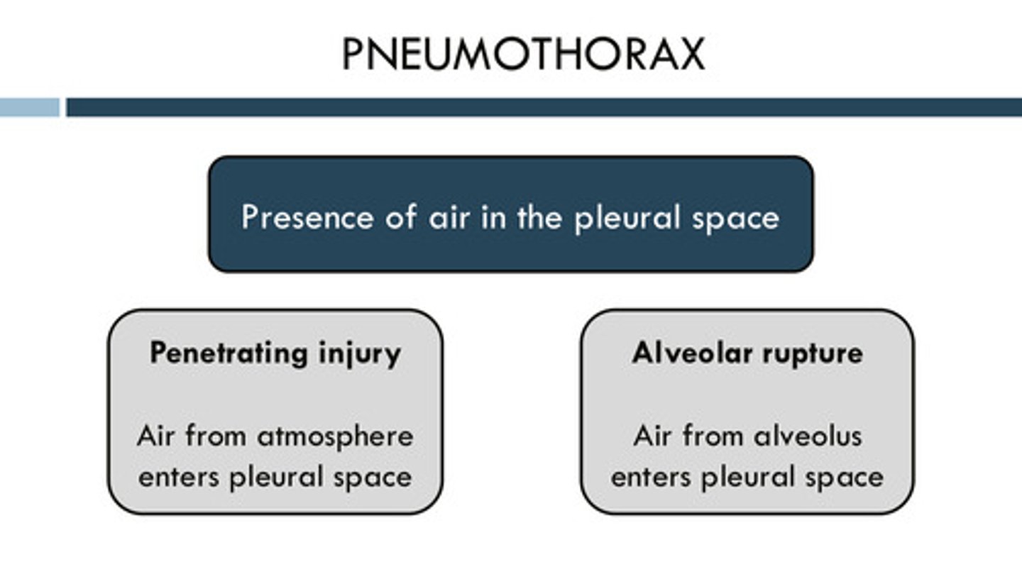 <p>the presence of air in the pleural space</p><p>may be from a penetrating injury in which air from the atmosphere enters the pleural space OR may be from an alveolar rupture in which air from the alveolus enters the pleural space</p>