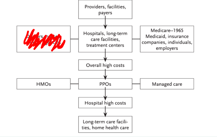 <p>what is blocked in red in this diagram</p>