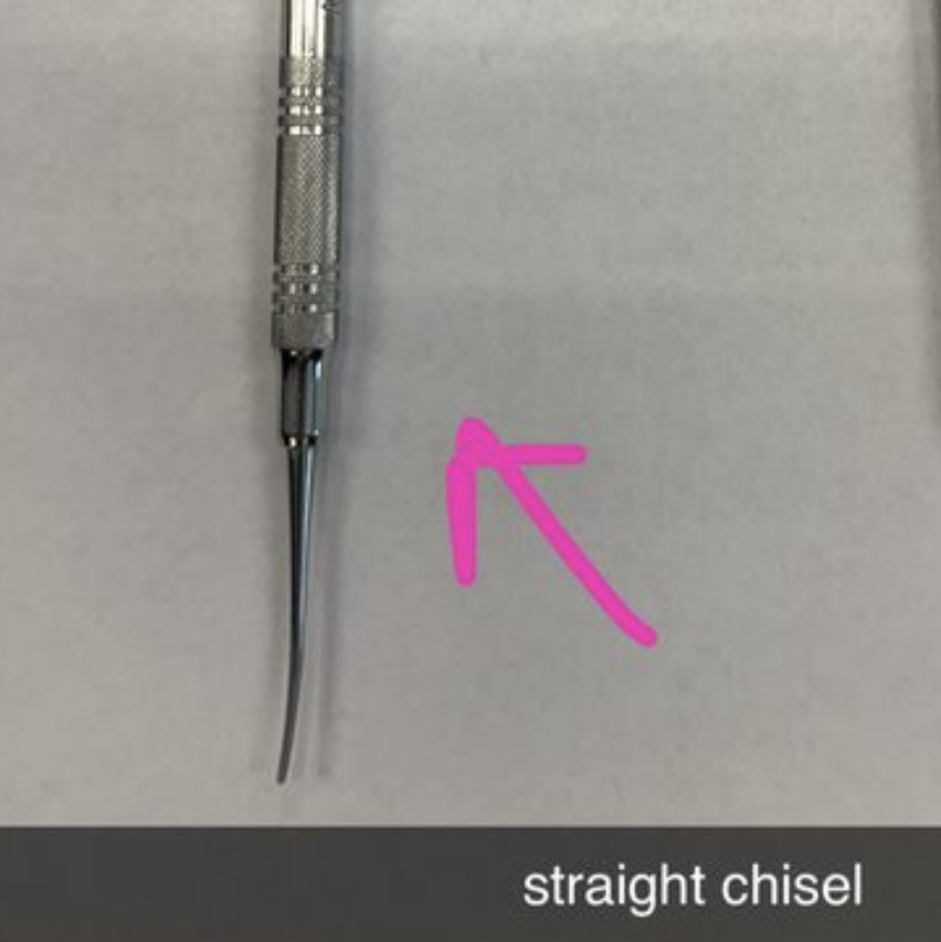 <p>STRAIGHT CHISTLE</p>
