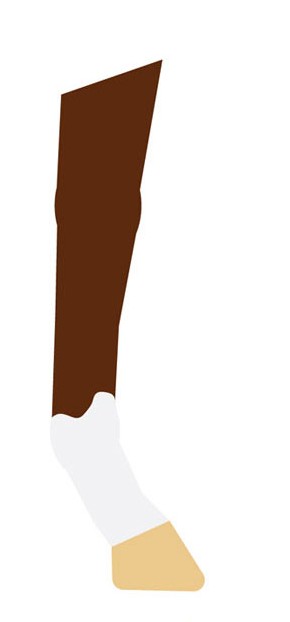 <p><span style="background-color: transparent;">White goes up canon</span></p><p></p>