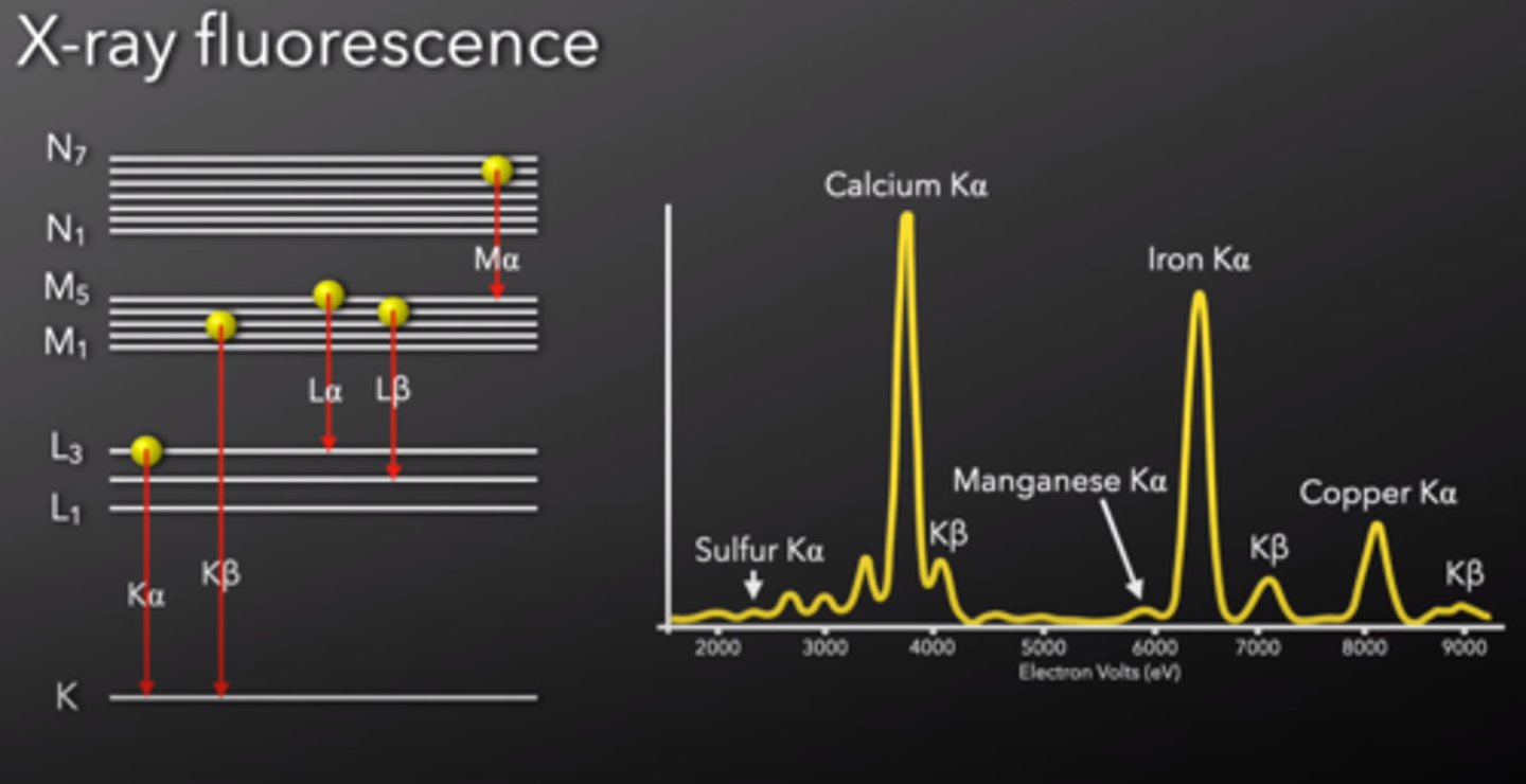 <p>The emission of x-rays following the absorption of x-rays by a material</p><p>- The abscissa (x-axis) is x-ray energy in keV rather than wavelength, the y-axis is the detector response (counts per second)</p><p>- Elements are identified by their peak energies and quantified by the number of photons in each peak</p>