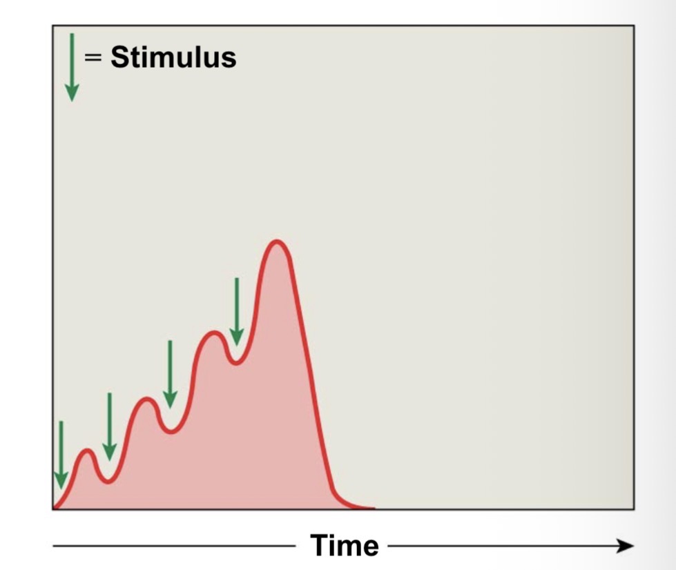 <p>• increasing tension or summation of twitches</p><p class="has-focus">• repeated stimulations before the end of relaxation phase</p><p class="has-focus">-stimulus frequency 50/seconds</p><ul><li><p>Causes increasing tension or summation of twitches</p></li></ul><p><span style="color: red;">Occurs when successive stimuli arrive before the relaxation phase</span></p>